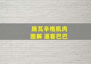 施瓦辛格肌肉图解 道客巴巴